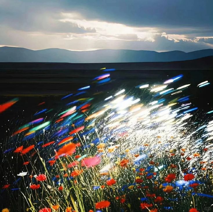 las flores. G#m 91bpm